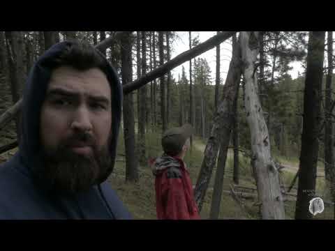 SASQUATCH and the Famous Tree Structures of Nordegg смотреть онлайн