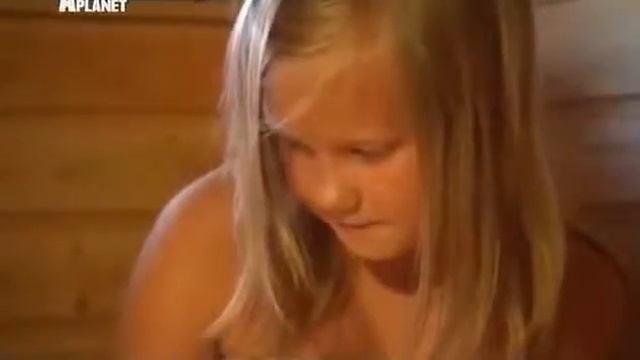 Европейская короткошерстная кошка 101kote.ru Eupean shorthair 101cats смотреть онлайн