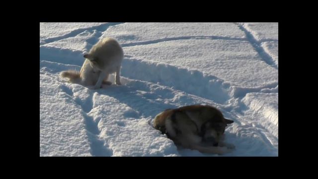 Промысел 2020 часть 2 смотреть онлайн