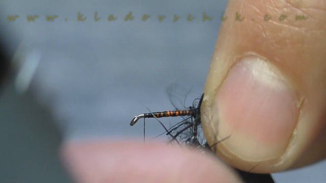 Black Plague Wet Fly Sbiro. Мокрая мушка "Чума" или "Чумовая" смотреть онлайн
