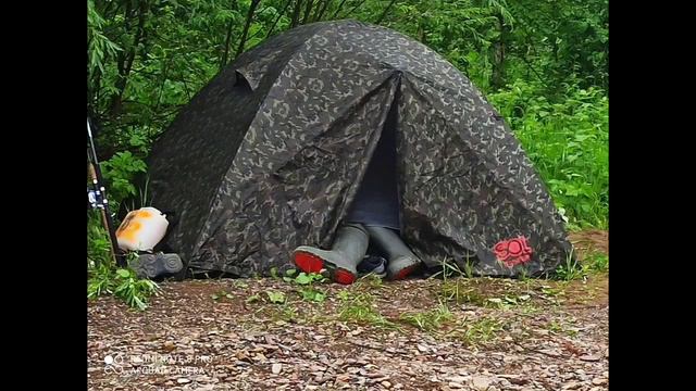 Тайдон июнь 2020 кем.обл. смотреть онлайн