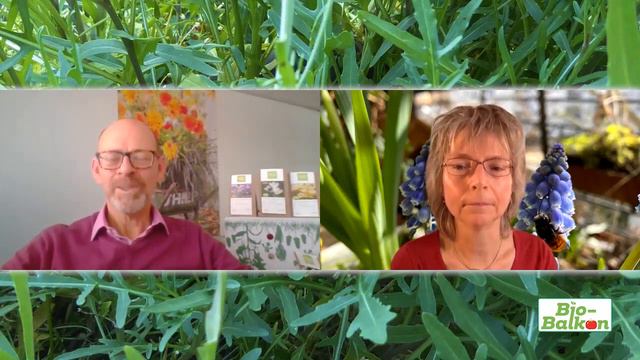 Frühblüher Im Topf Auf Balkon &Terrasse - Tipps Vom Produzenten Zu Erde, Düngung, Mehrjähriger Blüt