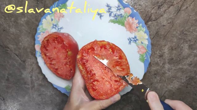 Обязательно буду сеять в следующем сезоне! Он такой вкусный, мясистый и крупный смотреть онлайн