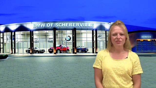Julie Sass - Title Clerk for BMW of Schererville смотреть онлайн