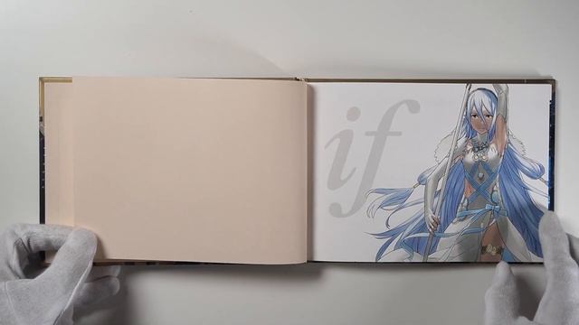 Fire Emblem If/Fates Special Edition смотреть онлайн