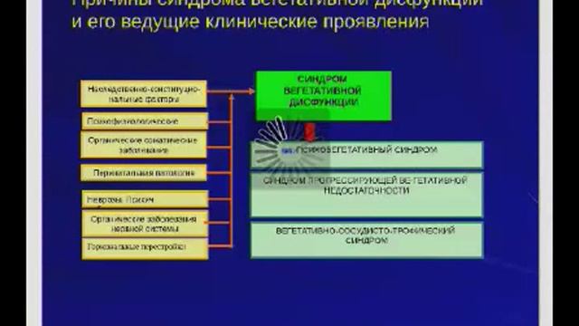 Вегетативная дисфункция смотреть онлайн