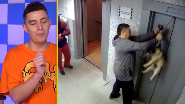 Попробуй не сказать Wow