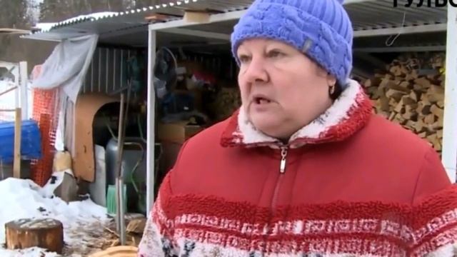 Очередная случка свиноматки.Спаривание свиней естественным способом.Boar semen collection. смотреть онлайн