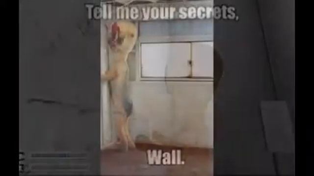 SCP-173 смотреть онлайн