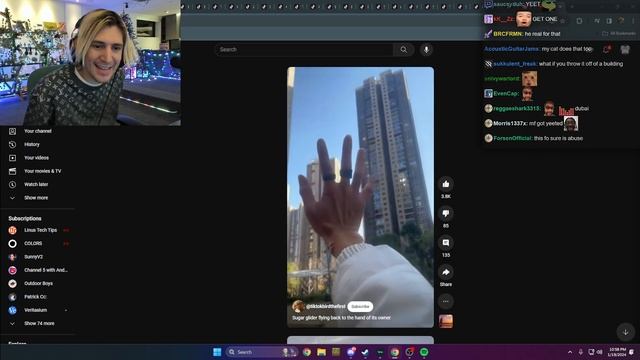 xQc Cries Laughing at TikToks with Chat! смотреть онлайн
