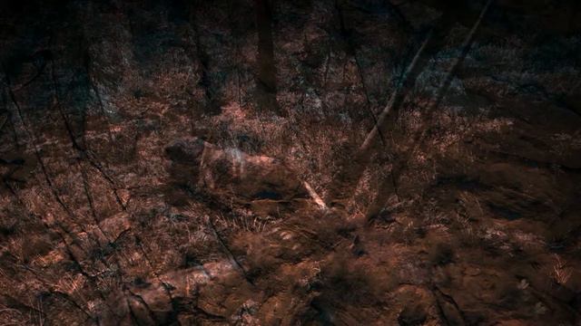 How to tame a saber tooth tiger in Far Cry Primal ( Tutorial 2017) смотреть онлайн