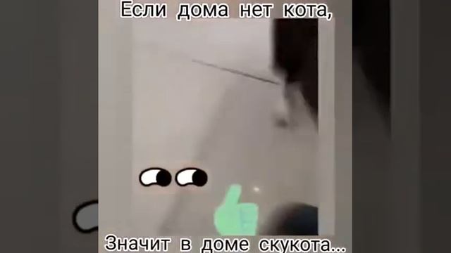 Если дома нет кота, значит в доме скукота смотреть онлайн