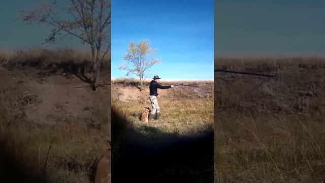 кнуты 4 метра. bullwhips 4 metrics.пояснения почему 4 и нужно ли 5)всемДобра!#bullwhips #кнут #diy смотреть онлайн