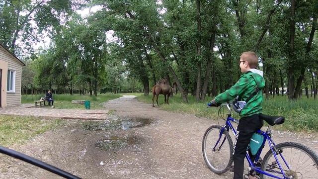 В дубовку с детьми на велосипедах смотреть онлайн