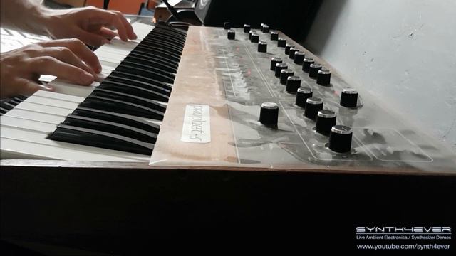Sequential Circuits PROPHET 5 synthesizer - sounds & presets【SYNTH DEMO】 смотреть онлайн