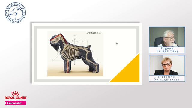 Russian national breeds: 2. Russian black terrier | Responsible Breeding Online смотреть онлайн