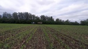 ПОСЕВ КУКУРУЗЫ ПО КУЛЬТИВАЦИИ БЕЗ ПАХОТЫ / ПЕРВАЯ ОБРАБОТКА