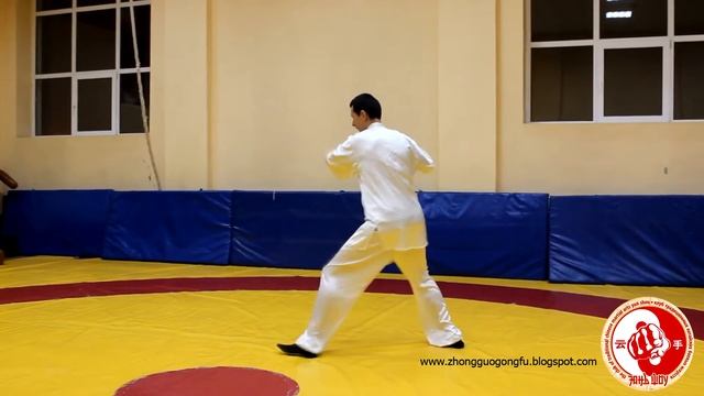Тайцзицюань семьи Чэнь лаоцзя паочуй/ Chenshi Taijiquan Laojia Paochui