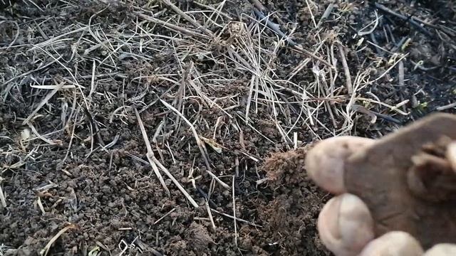 Настройки ЭКВИНОКС 600. И коп в ураган.