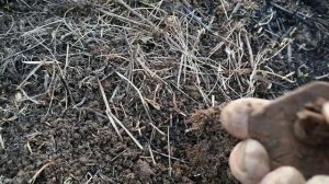 Настройки ЭКВИНОКС 600. И коп в ураган.