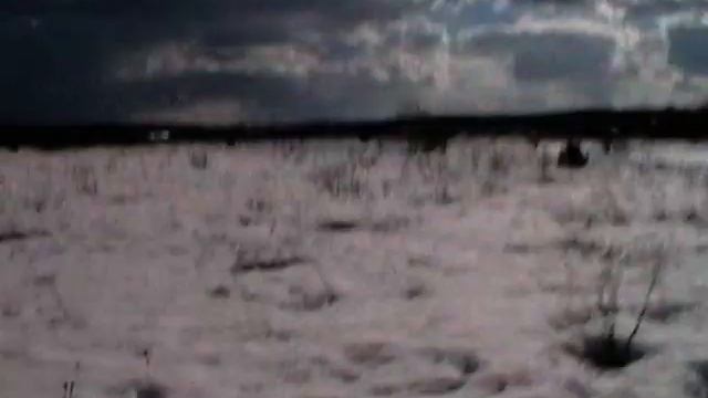 Покатушки на  аэролодке Кайман 300 20л.с.