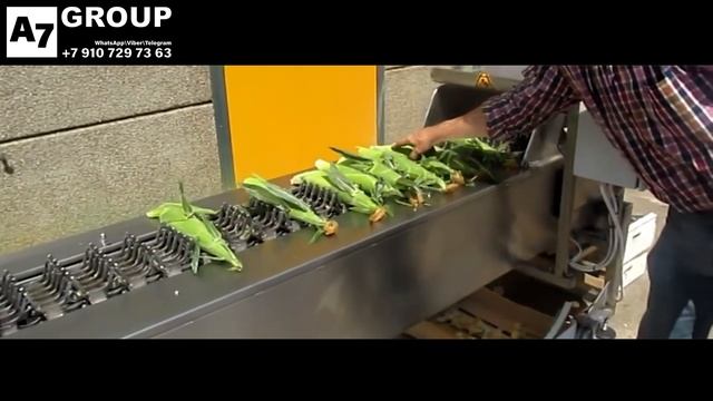 Комплект оборудования для обрезки концов початков сладкой кукурузы (5 000 початков в час) смотреть онлайн
