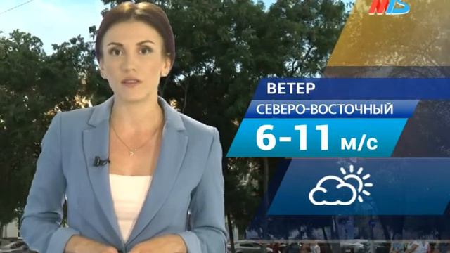 На прогулки по городу волгоградцам предлагают взять с собой зонт смотреть онлайн