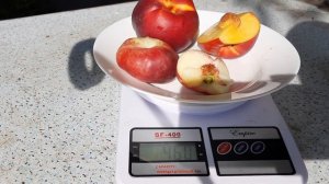 Сравнение нектаринов  Биг Топ и Донат.