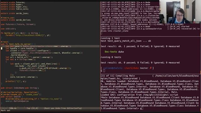 Rust client library for Elasticsearch, part 1 смотреть онлайн