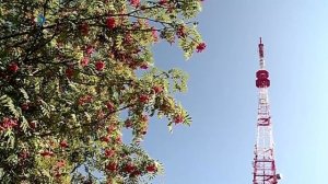 Жителей Сыктывкара предупреждают о перебоях теле- и радиовещания