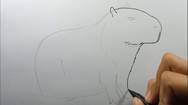 How To Draw Capybara