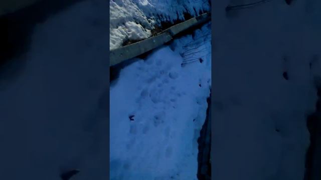 Сегодня. Был крутой день смотреть онлайн