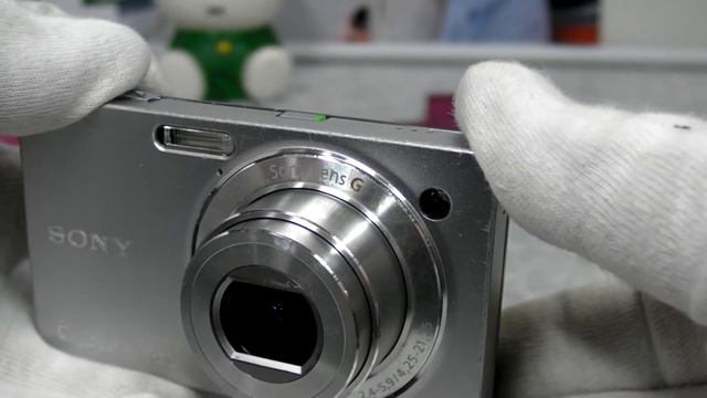 DSC-WX1
