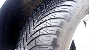 Китайская всесезонка.