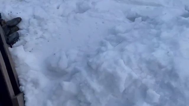 podkapaev. п. Запрудня. Тухлую воду заказывали!? Осиновый щит вам в помощь. смотреть онлайн