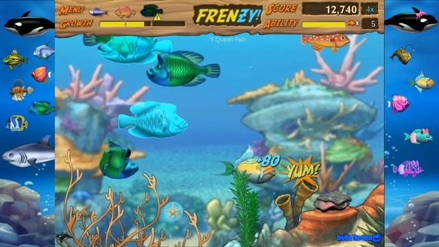 Feeding Frenzy 2 X Let Me Eat Ocean King 2 mod Gameplay Episode 1 + 2 смотреть онлайн