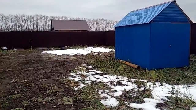 Как приживаются хвойники после пересадки. смотреть онлайн