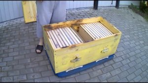 Шаг к двухматочному пчеловодству в лежаках (теория)