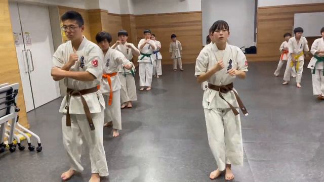 美しく強くなる‼️#極真空手 #kyokushin #空手道 #空手#空手女子 #karate смотреть онлайн