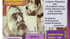 Гавриил Троепольский. Белый Бим Черное ухо.wmv