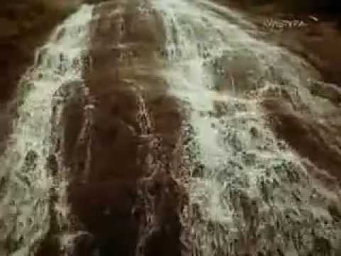 Дрессировщики 1975 6 серия смотреть онлайн