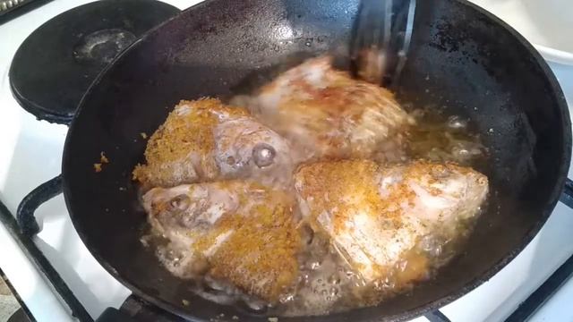 Интересные Факты о Животных