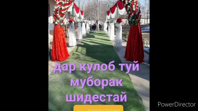 туй заказ тел 988979913 смотреть онлайн
