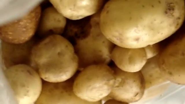 Свой картофель (картошку) можно вырастить в своём саду (дача, деревня, огород). смотреть онлайн