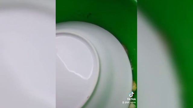 Кабачки как шашлычки смотреть онлайн