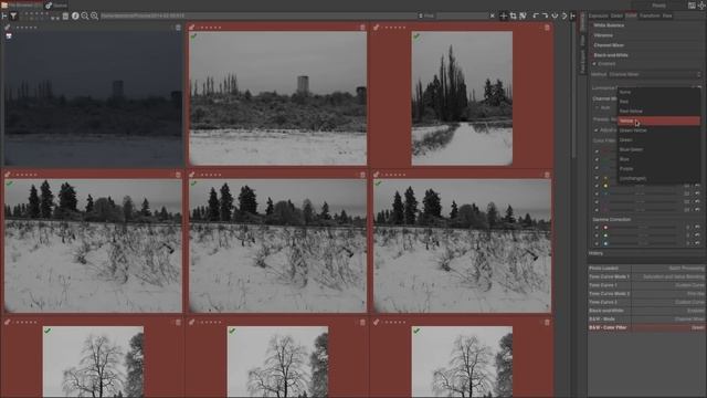 Rawtherapee Tutorial: Batch Processing смотреть онлайн