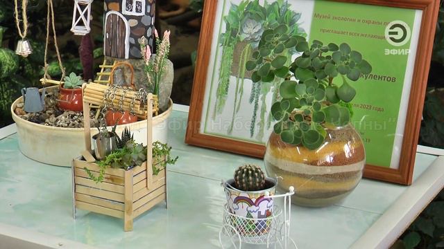 ТАКИЕ МАЛЕНЬКИЕ, НО ТАКИЕ ЯРКИЕ И НЕОРДИНАРНЫЕ. смотреть онлайн