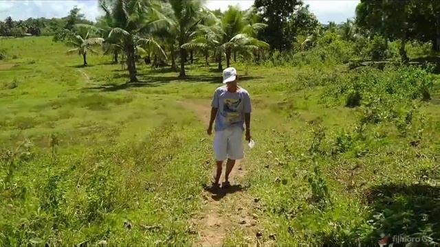24 Hectares For Sale Near Mabuhay, Philippines смотреть онлайн