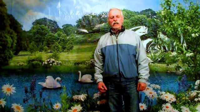 песня- Петухи