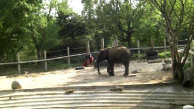 вашингтон зоо 025 смотреть онлайн